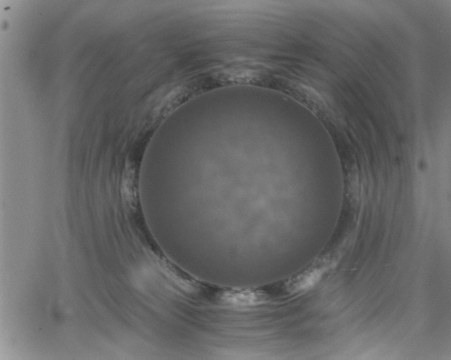 X0000058780181200510031029