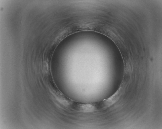 X0000058780183200510031030