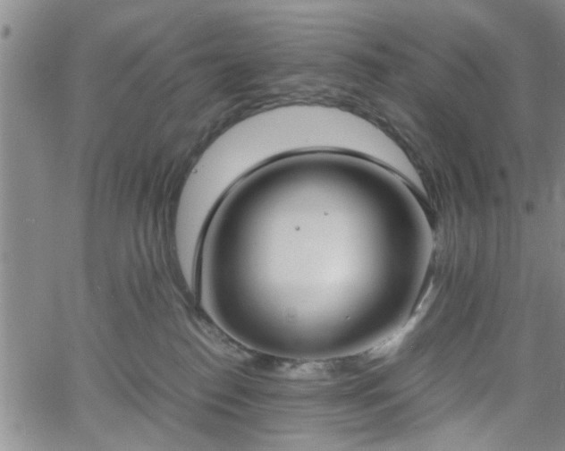 X0000058780186200510031030