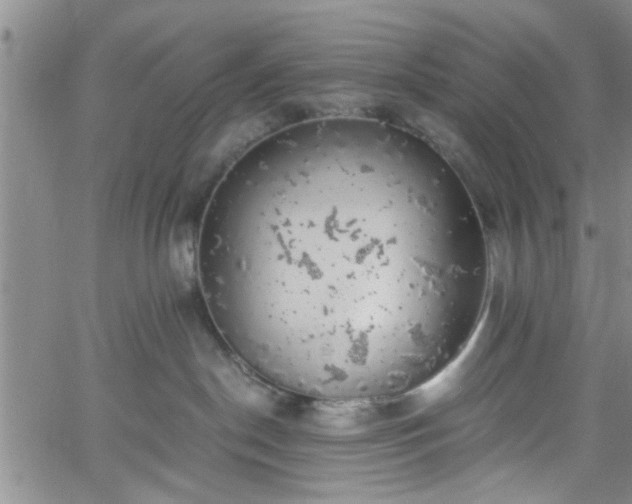 X0000058780190200510031030