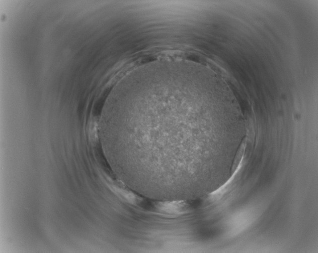 X0000058780191200510031030