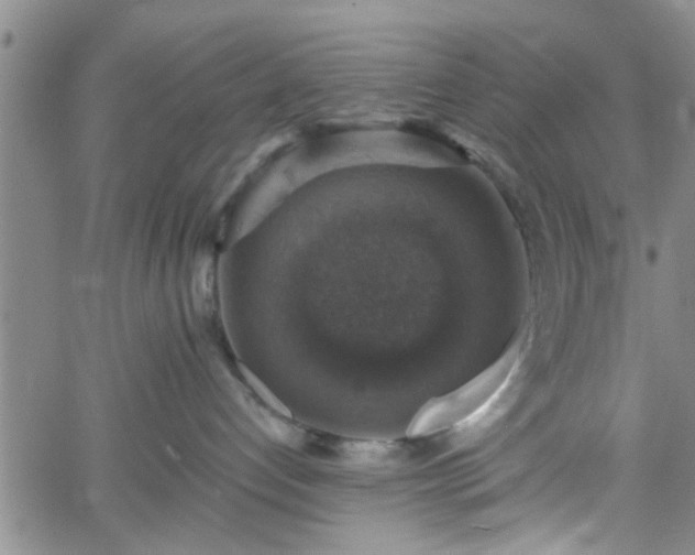 X0000058780192200510031030