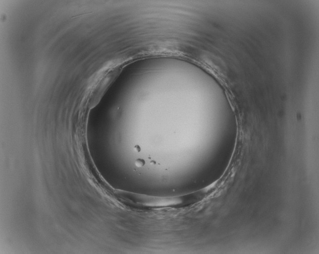 X0000058780193200510031029