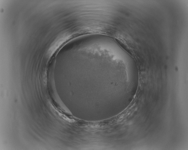 X0000058780194200510031029