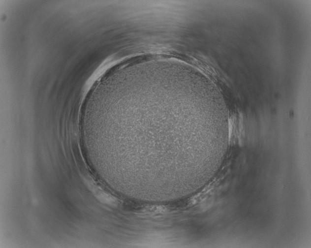 X0000058780195200510031029