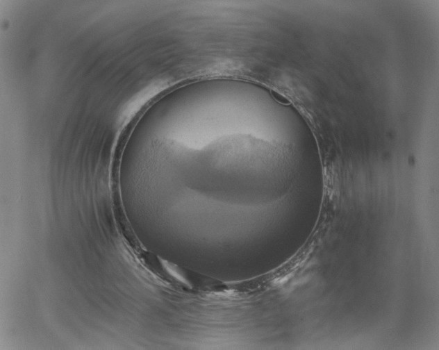 X0000058780196200510031029