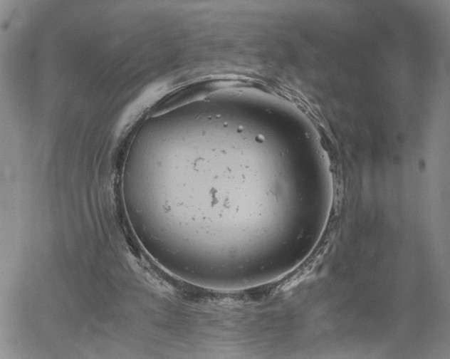 X0000058780197200510031029