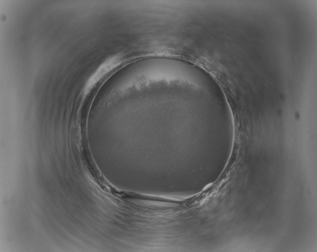 X0000058780198200510031029