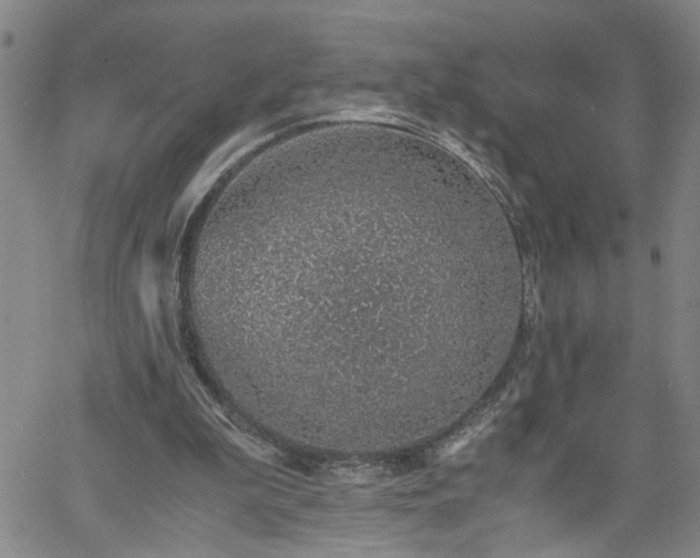 X0000058780199200510031029