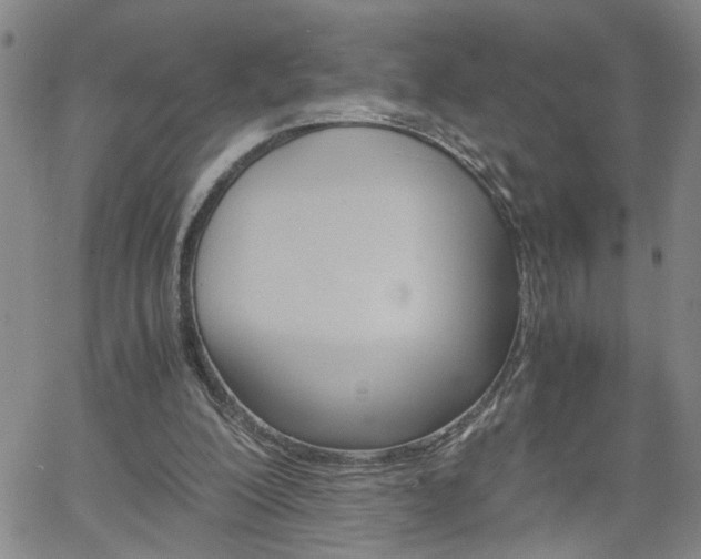 X0000058780200200510031029