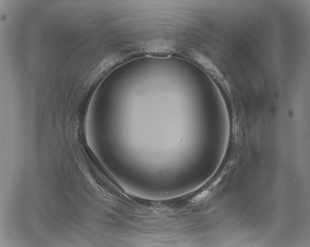 X0000058780201200510031029