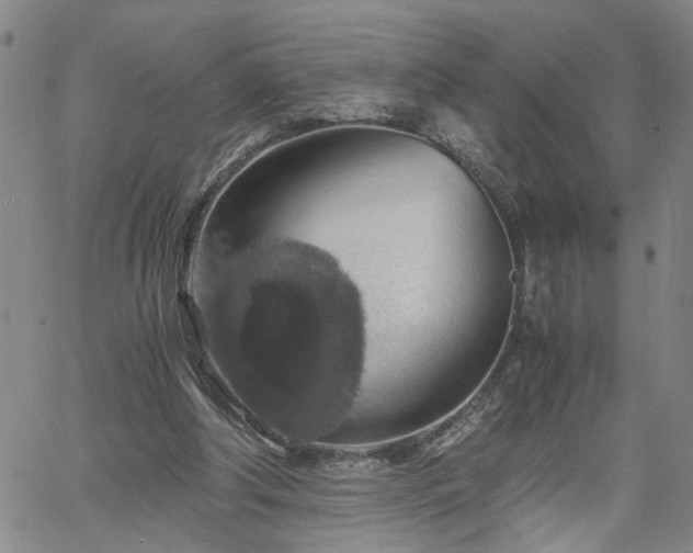 X0000058780202200510031029