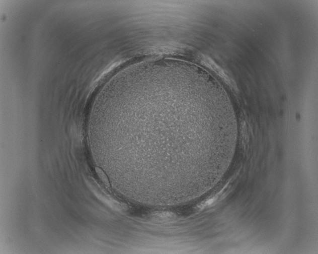 X0000058780203200510031029