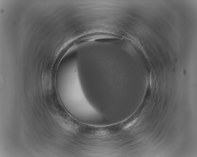 X0000058780204200510031029