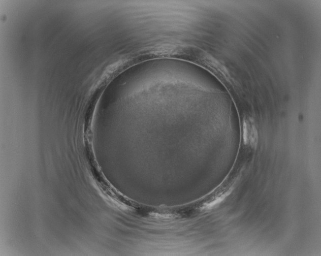 X0000058780205200510031029