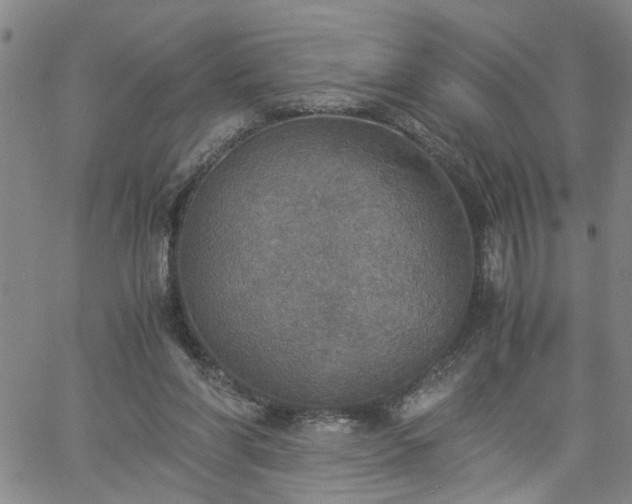 X0000058780206200510031029