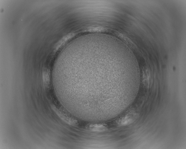 X0000058780208200510031029