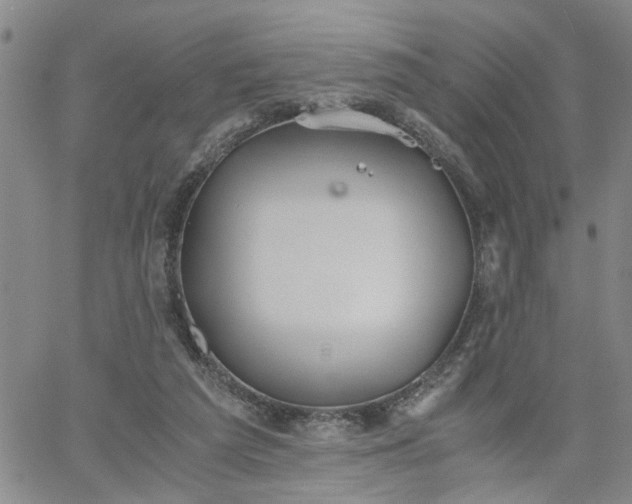 X0000058780209200510031029