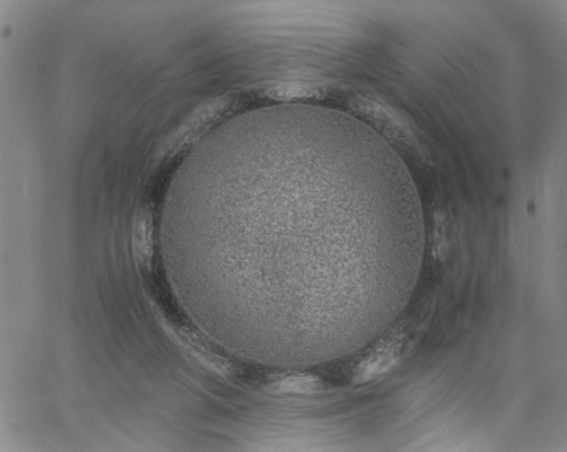 X0000058780210200510031029