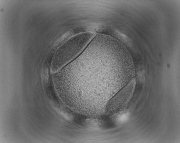 X0000058780211200510031029