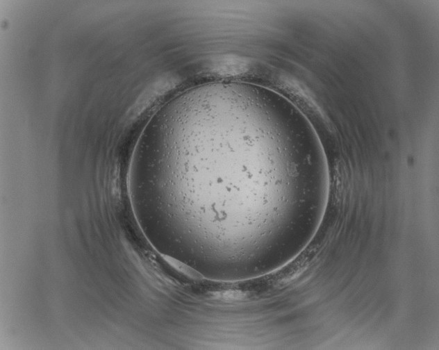 X0000058780212200510031029