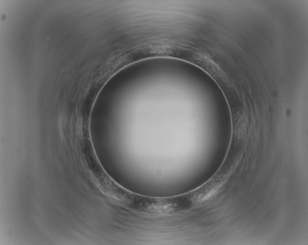 X0000058780213200510031029