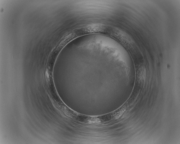 X0000058780214200510031028