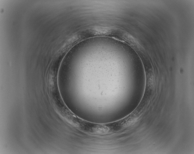 X0000058780215200510031028