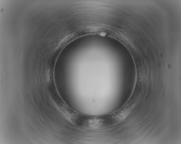 X0000058780216200510031028