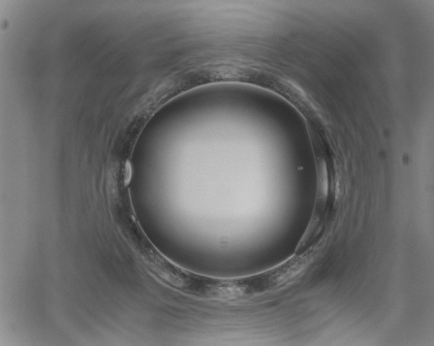 X0000058780217200510031028