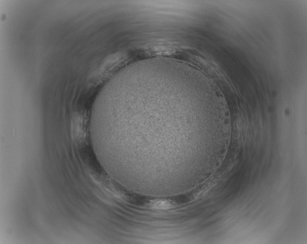 X0000058780218200510031028