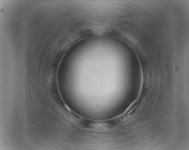 X0000058780221200510031028