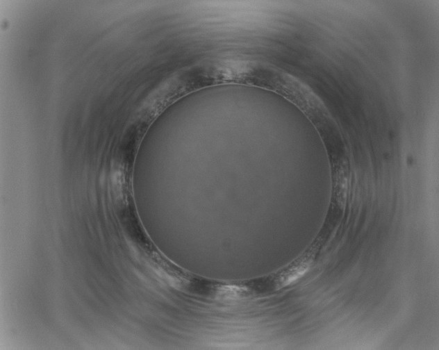 X0000058780222200510031028