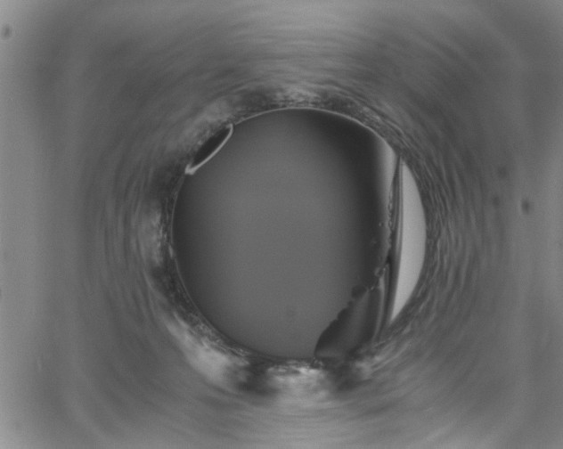 X0000058780223200510031028