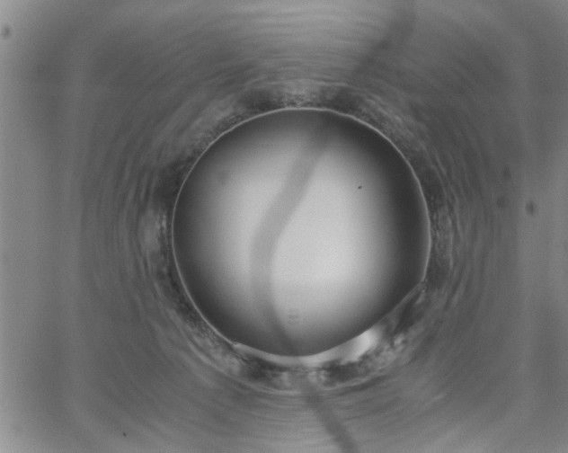 X0000058780225200510031028