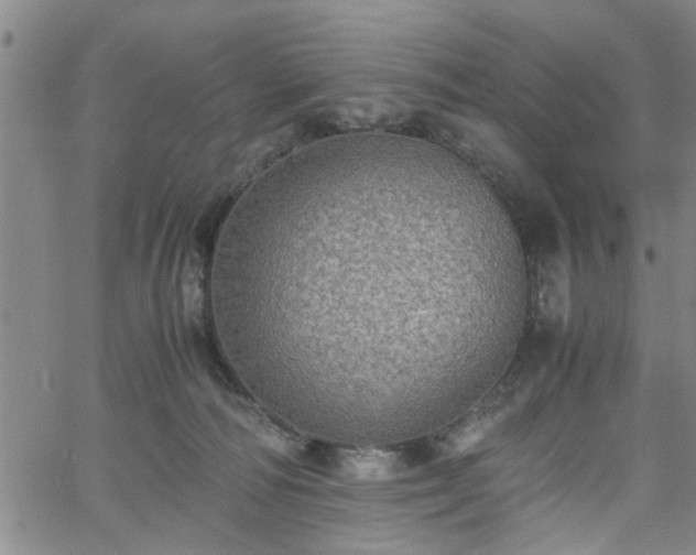 X0000058780226200510031028