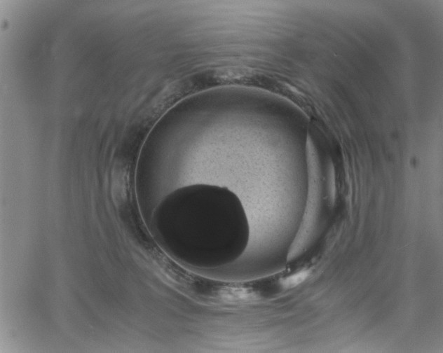 X0000058780227200510031028