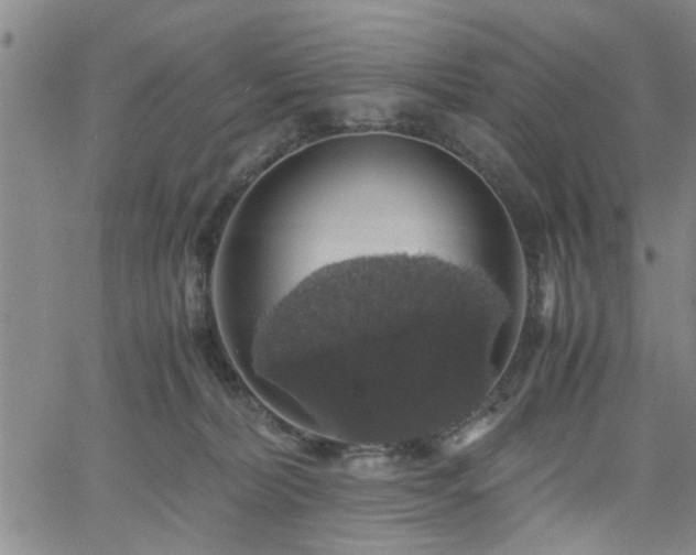 X0000058780228200510031028