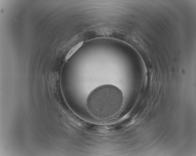 X0000058780229200510031028