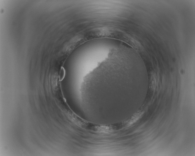 X0000058780230200510031028