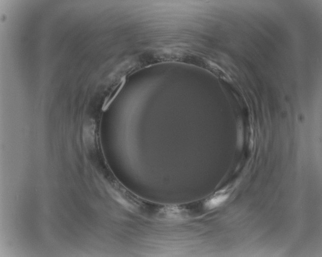 X0000058780231200510031028