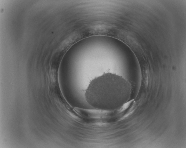 X0000058780232200510031028