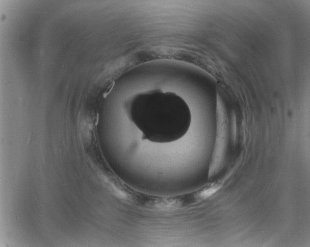 X0000058780235200510031028