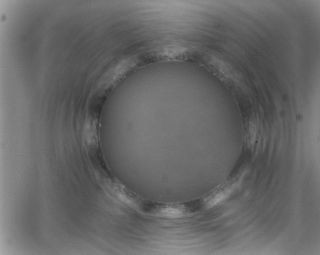 X0000058780236200510031028