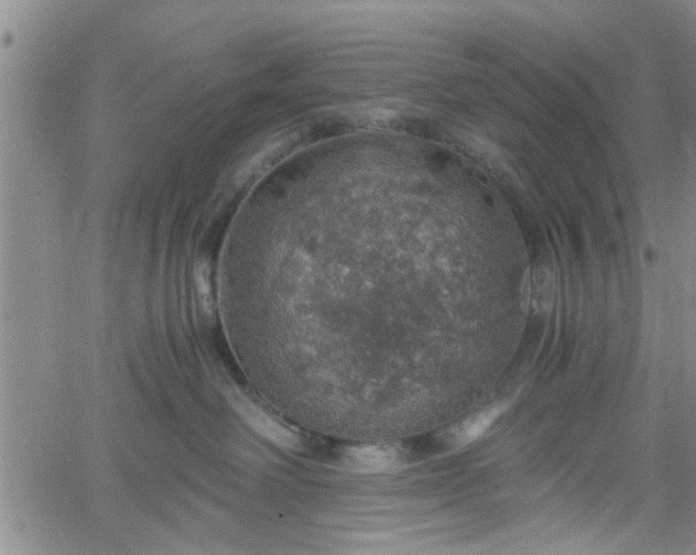 X0000058780238200510031028