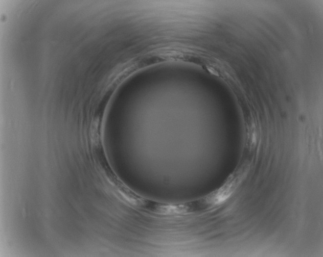 X0000058780239200510031028