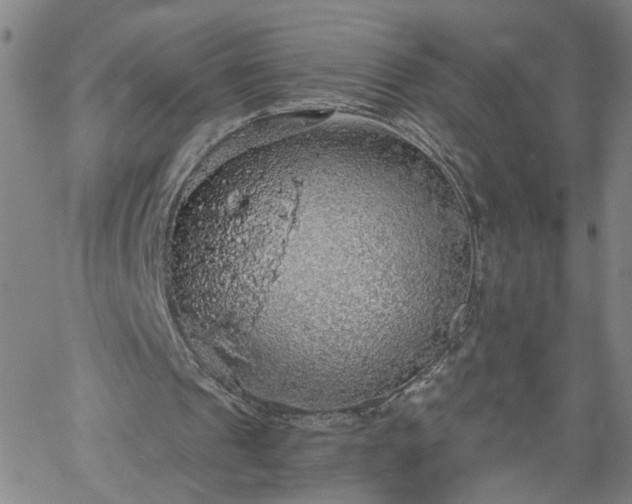 X0000058780241200510031027