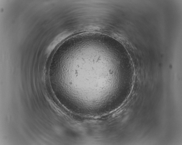 X0000058780242200510031027