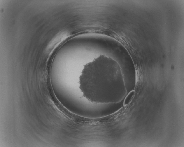 X0000058780243200510031027