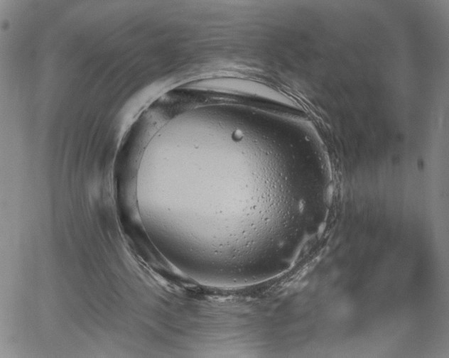 X0000058780244200510031027